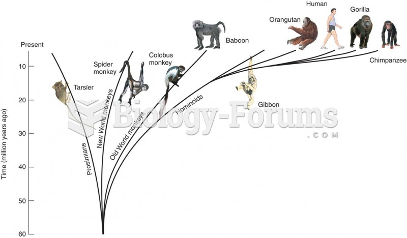 Evolution of Primate Species