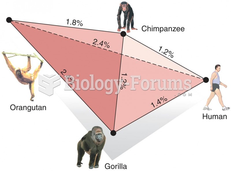 DNA Among Species of Hominids 