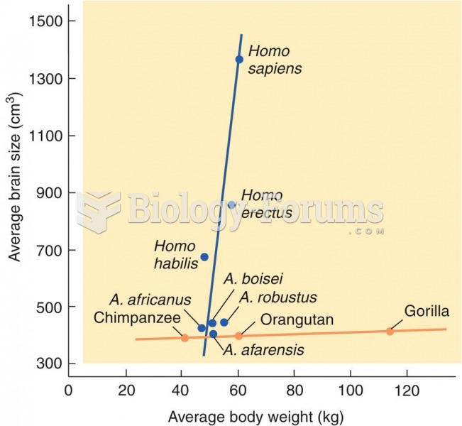 Hominid Brain Size