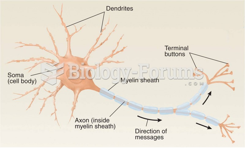 The Principal Parts of a Multipolar Neuron