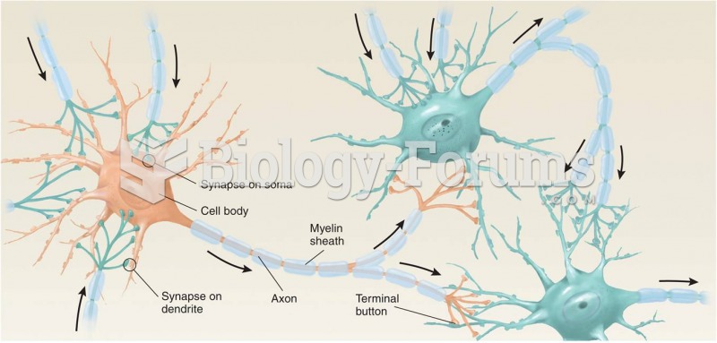 An Overview of the Synaptic Connections Between Neurons 