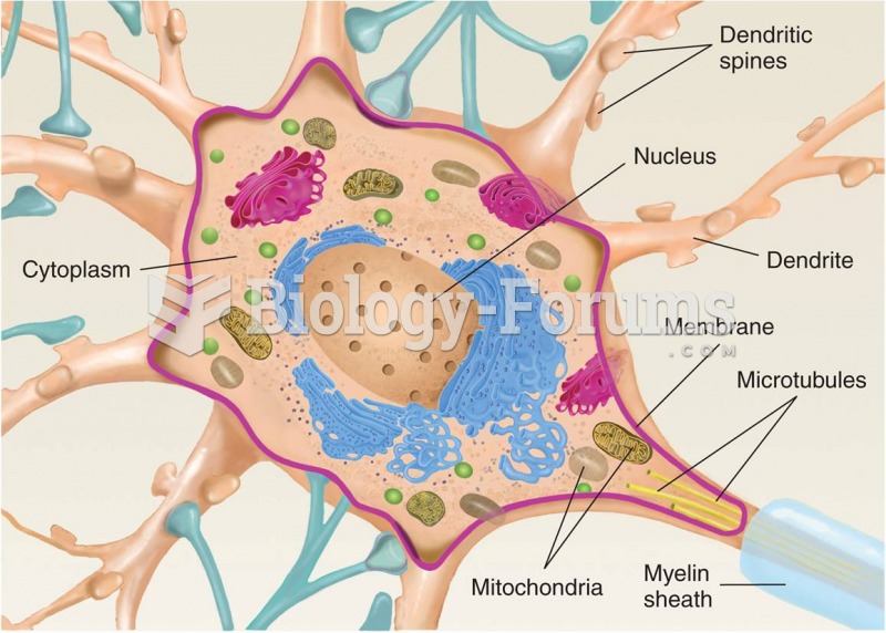 The Principal Internal Structures of a Multipolar Neuron