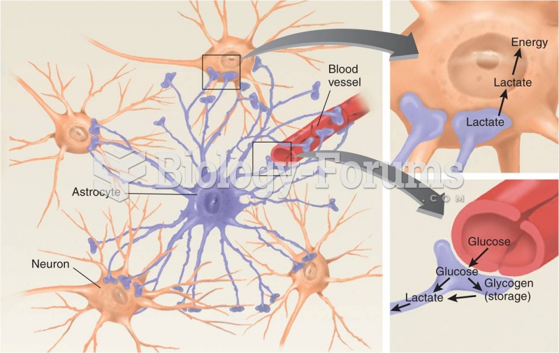 Structure and Location of Astrocytes