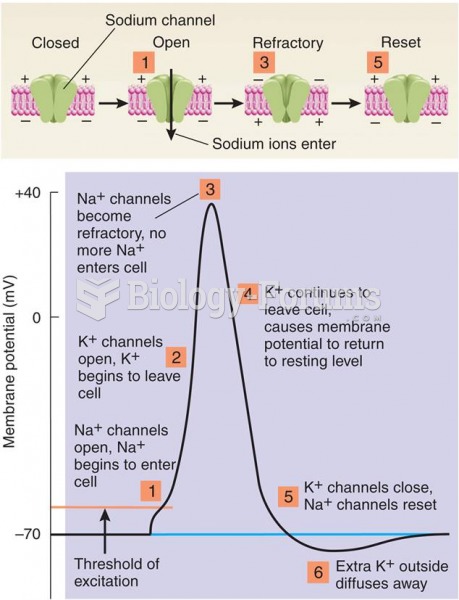 Ion Movements During the Action Potential