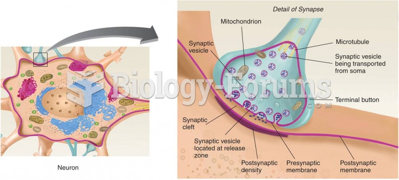 Details of a Synapse