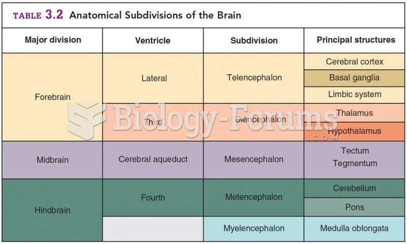 Anatomical Subdivisions of the Brain