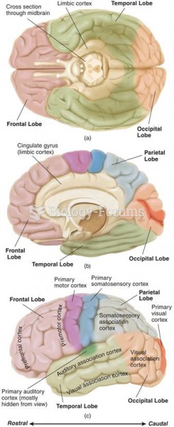 The Four Lobes of the Cerebral Cortex
