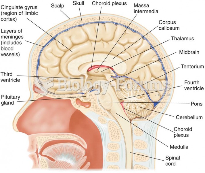 A Midsagittal View of the Brain and Part of the Spinal Cord