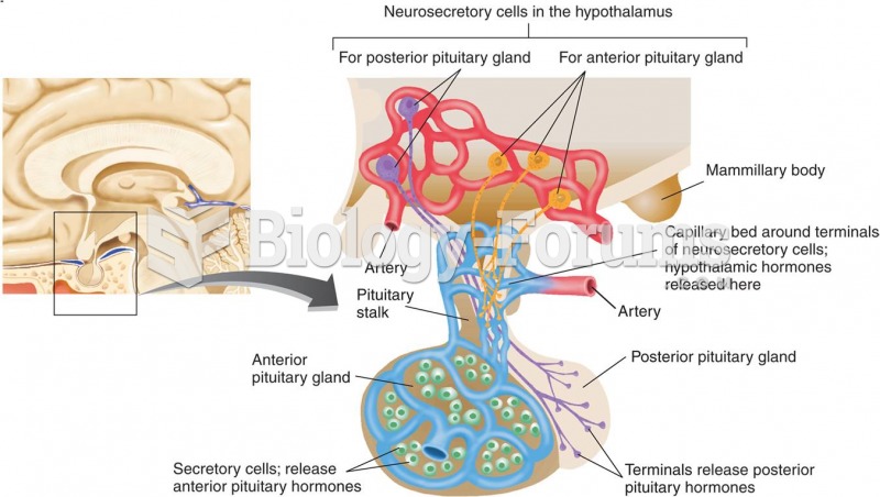 The Pituitary Gland