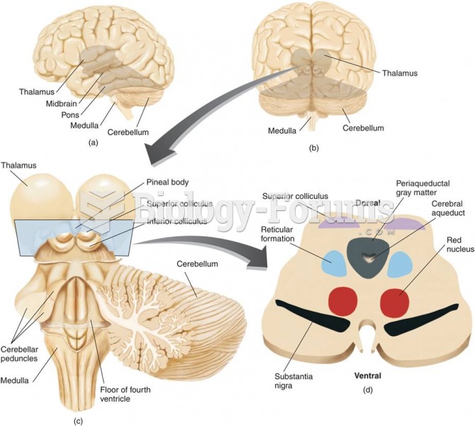 The Cerebellum and the Brain Stem