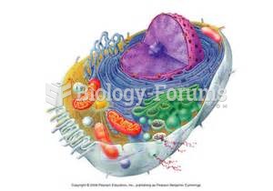 Eukaryotic cell without labels
