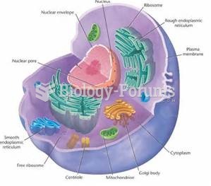 Cell Biology