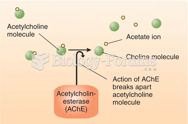 Destruction of Acetylcholine (ACh) by Acetylcholinesterase (AChE)