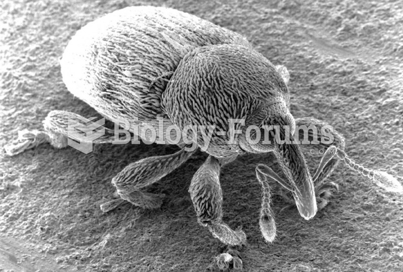 snout is just over 100 microns wide