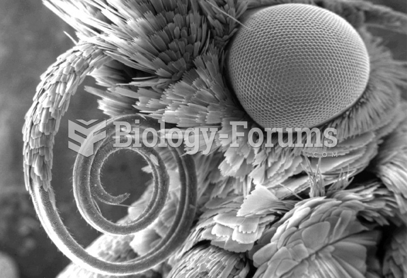 electron microscope image of a pyralidae moth