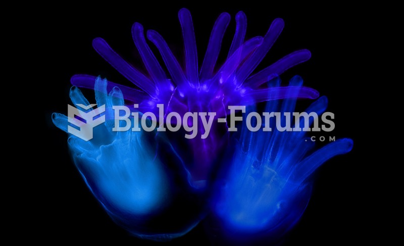 The anterior spiracles (respiratory openings) of a fruit fly larvae magnified 1500x.