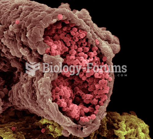 Artery Blod Cells