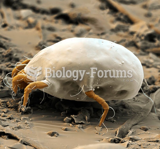 house dust mite (Dermatophagoides pteronyssinus)