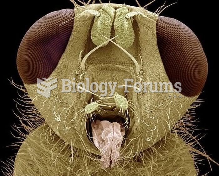 Insects Under the Electron Microscope