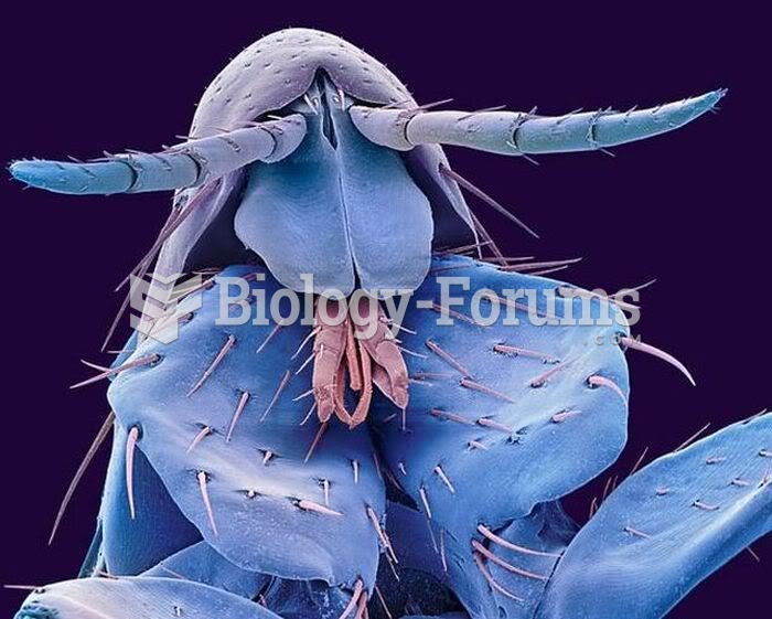 Insects Under the Electron Microscope