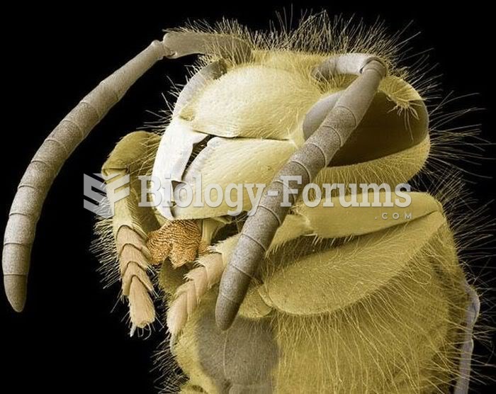 Insects Under the Electron Microscope