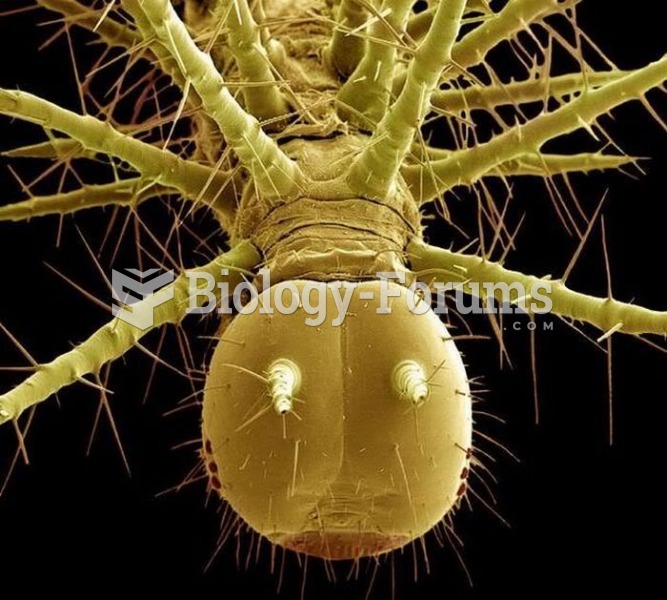 Insects Under the Electron Microscope