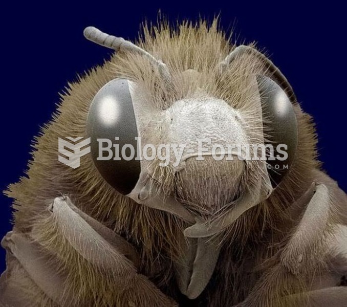 Insects Under the Electron Microscope