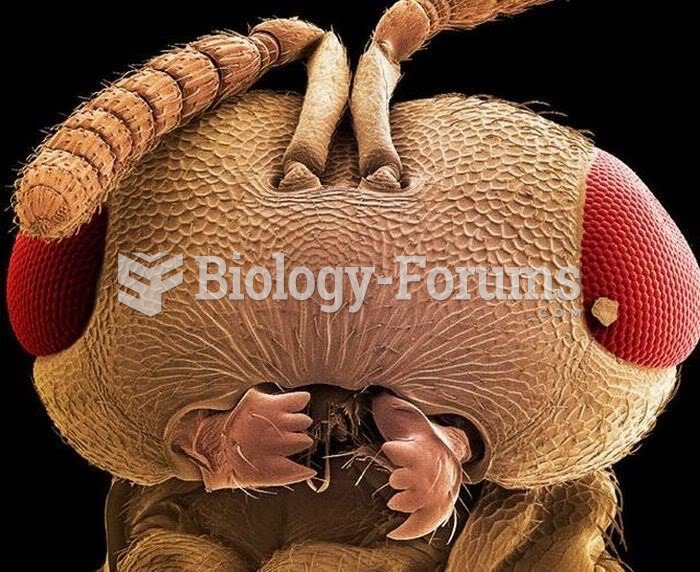 Insects Under the Electron Microscope