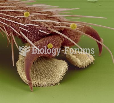 Electron Microscope Image of a Fly Foot