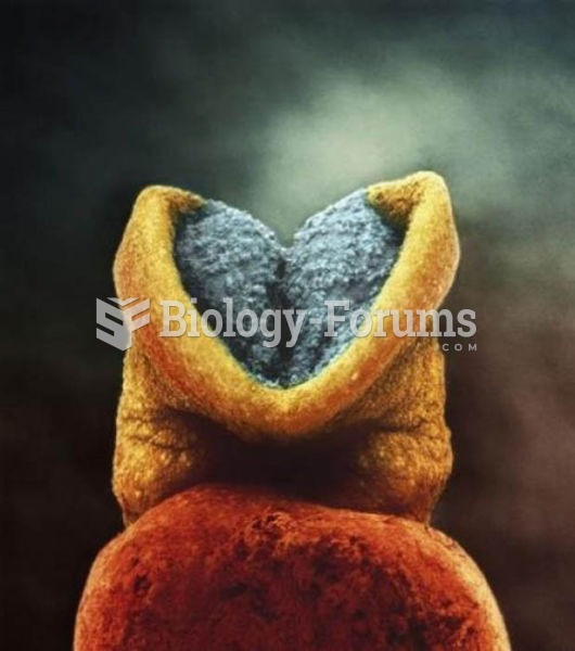 brain development in the human embryo