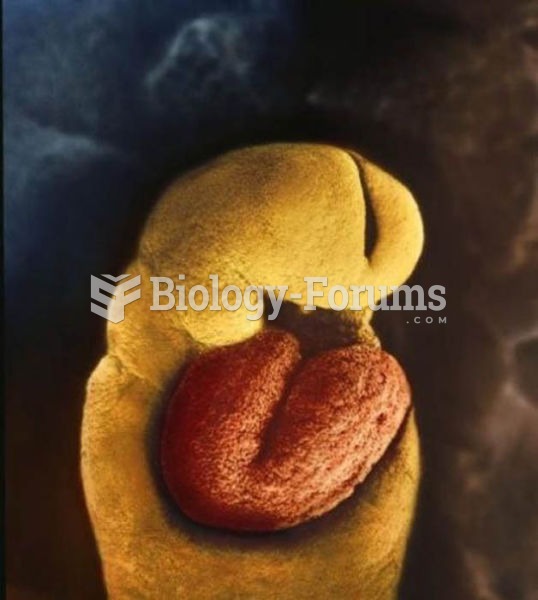 one month old embryo