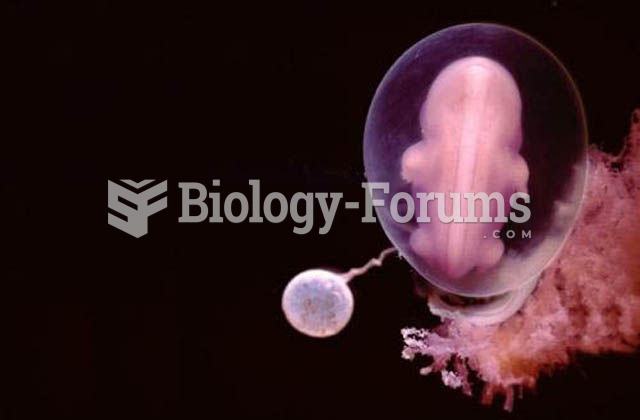 4 weeks old embryo