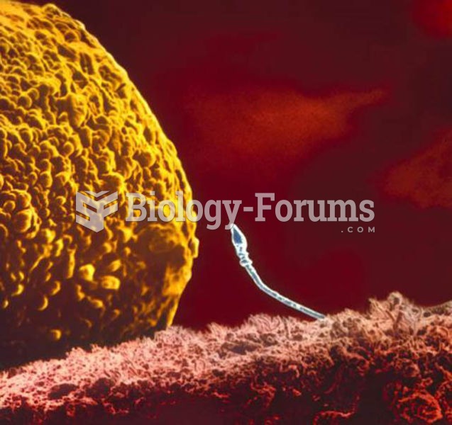 Sperm by  the fallopian tube