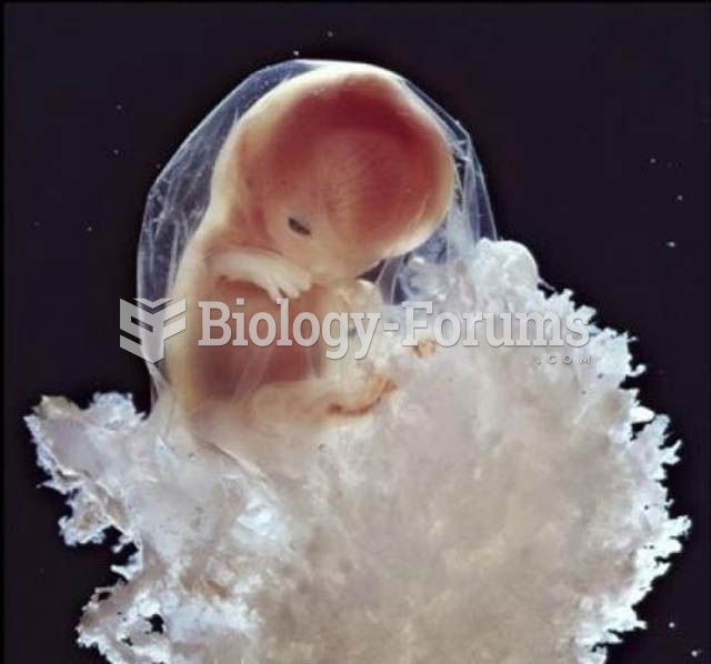 10 weeks old human embryo