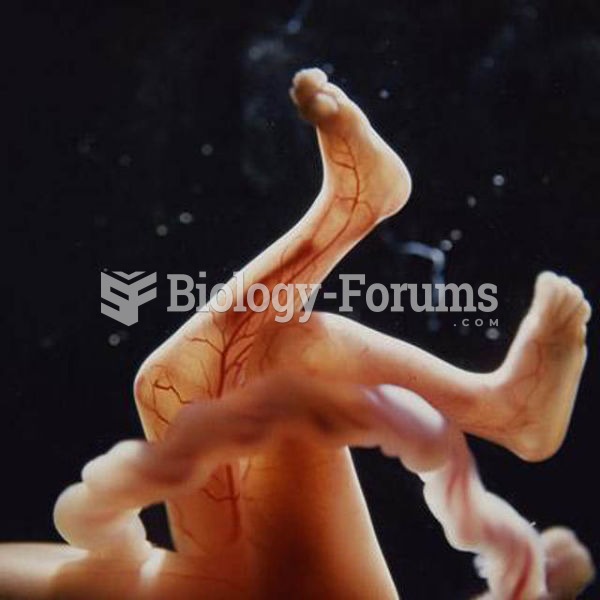 Fetal development of human