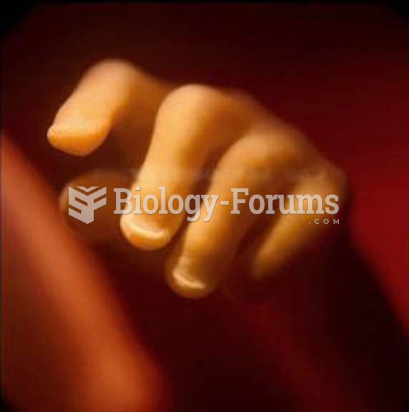 19 weeks old  human fetus