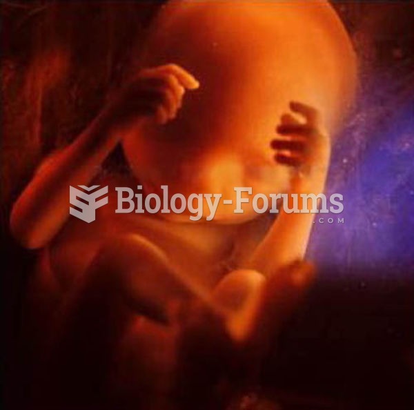 24 weeks old human fetus