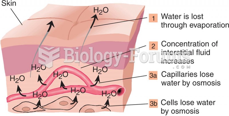 Water Loss Through Evaporation