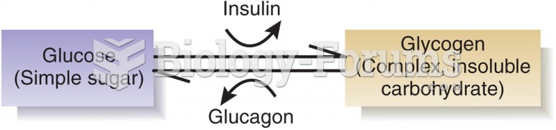 Effects of Insulin and Glucagon on Glucose and Glycogen