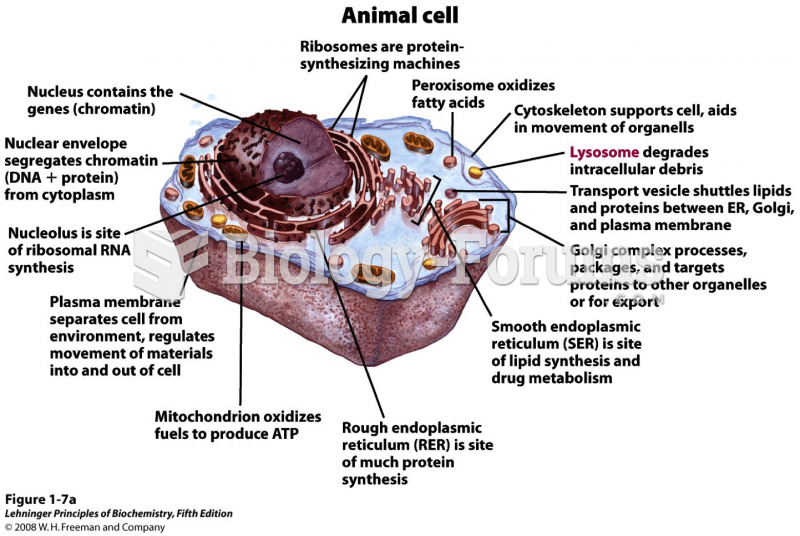 animal cell