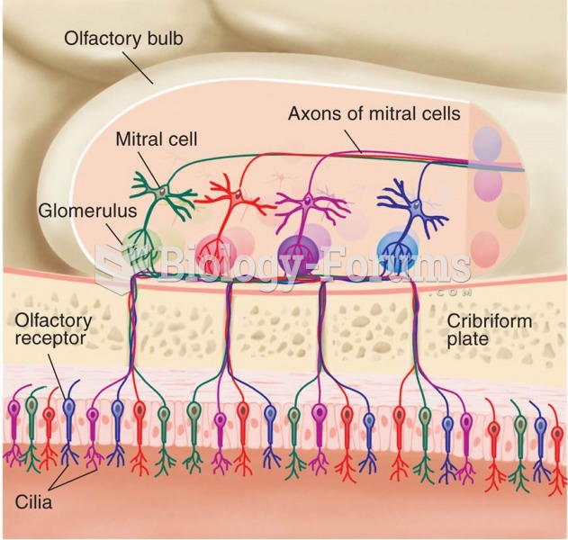 Connections of Olfactory Receptor Cells with Glomeruli 
