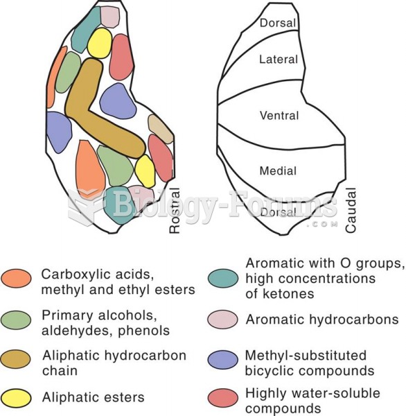 Clusters and Zones in the Olfactory Bulb 