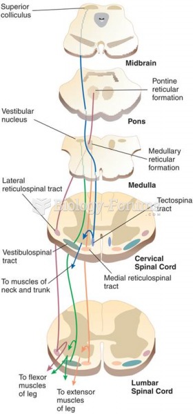 Ventromedial Group of Descending Motor Tracts 