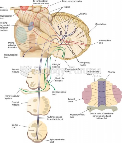 Inputs and Outputs of the Cerebellum 