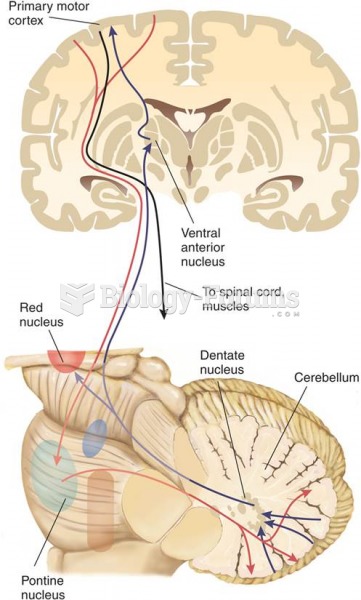 Inputs and Outputs of the Lateral Zone of the Cerebellar Cortex 