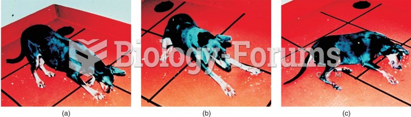 A Dog Undergoing a Cataplectic Attack 
