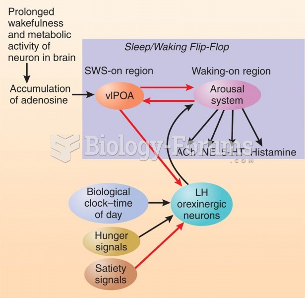 Adenosine, Time of Day, and Hunger 