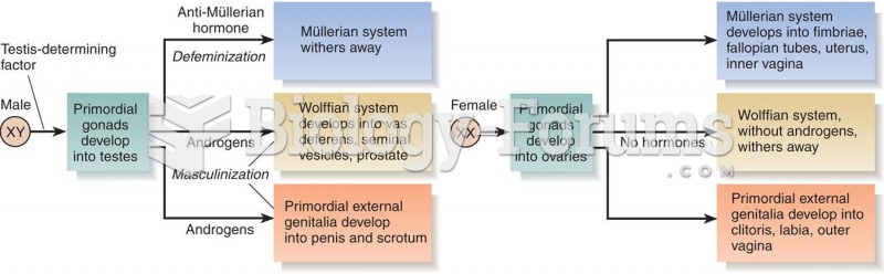 Hormonal Control of Development of the Internal Sex Organs