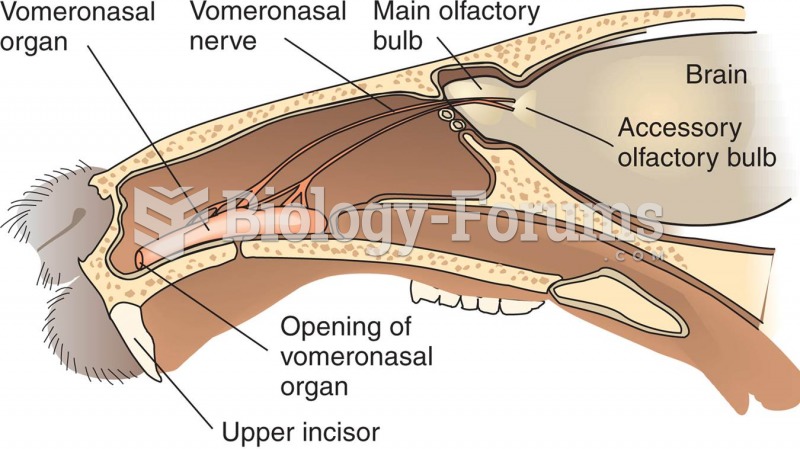 The Rodent Accessory Olfactory System 