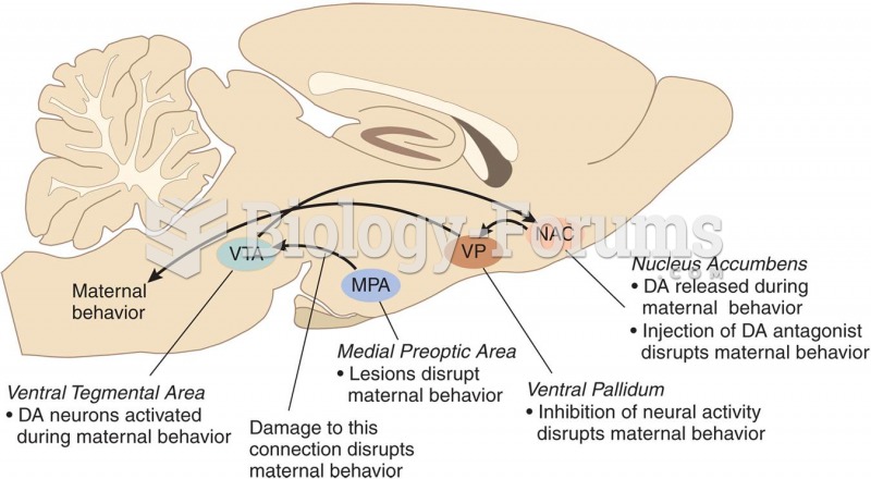 Neural Circuits and Maternal Behavior 